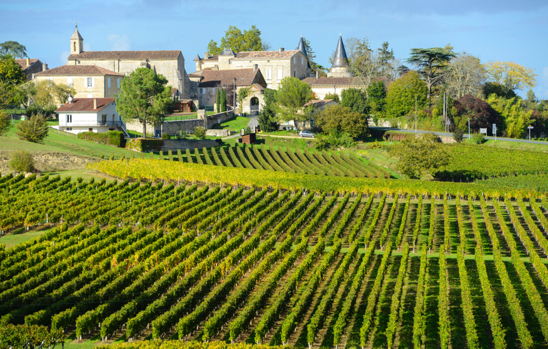 Bordeaux -Vinogradi Saint Emilion