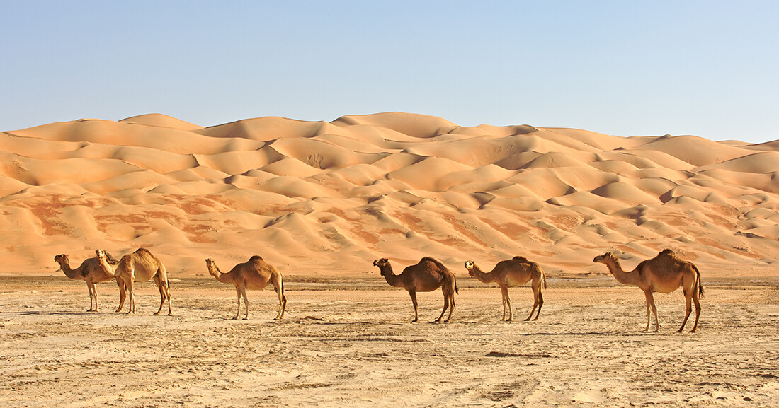 Oman putovanje, mondo travel, daleka putovanja, garantirani polazak