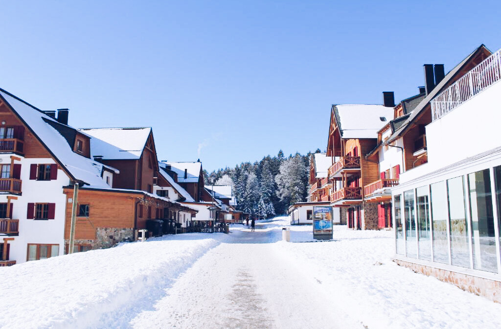 Pohorje Village Wellness & Spa Resort_Forest apartments Videc