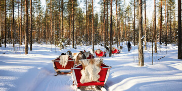 Saonice sa sobovima, putovanje Rovaniemi, Mondo travel