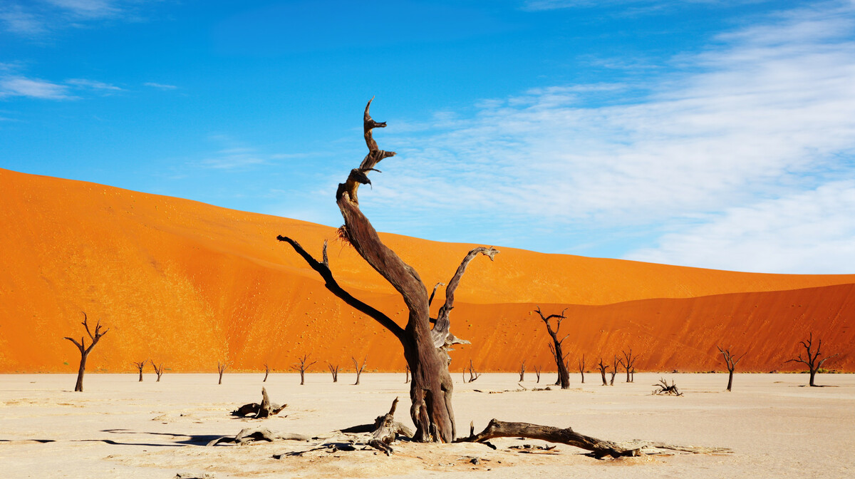 Namibija, pustinja Sossusvlei
