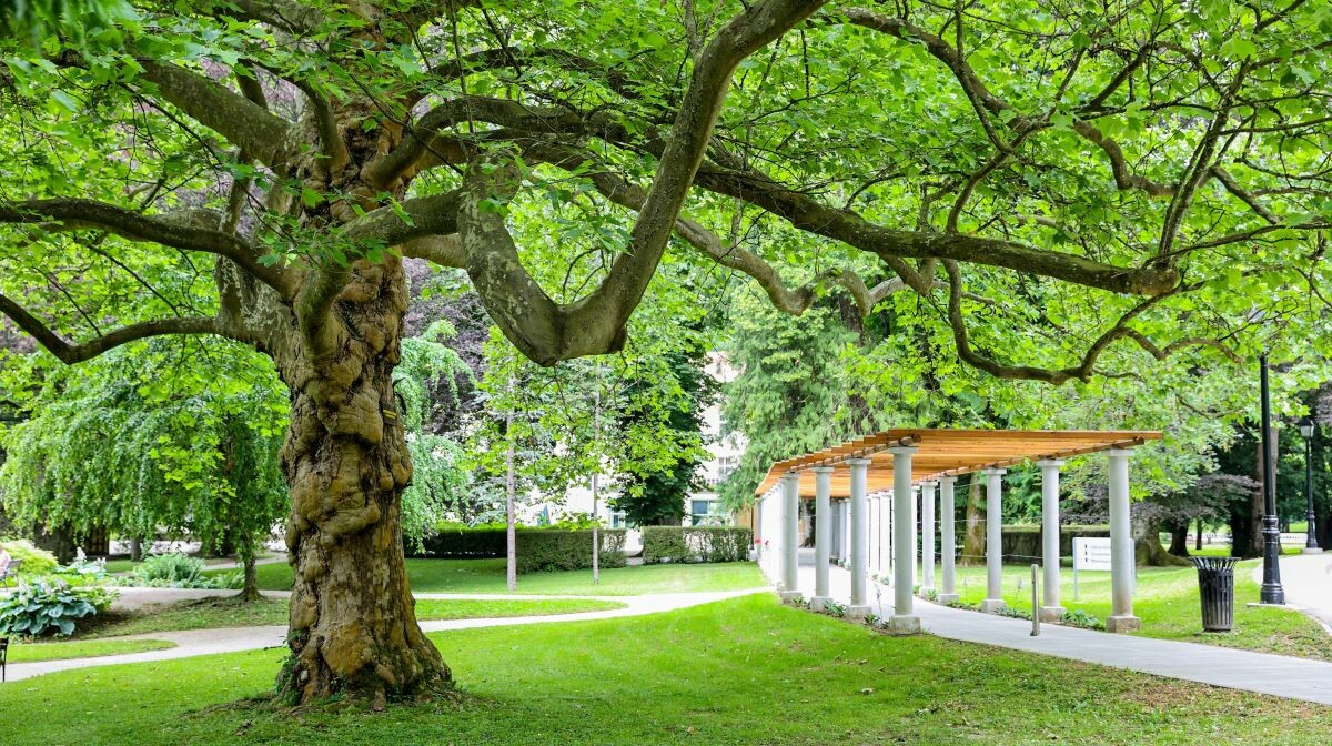 Terme Dobrna, park