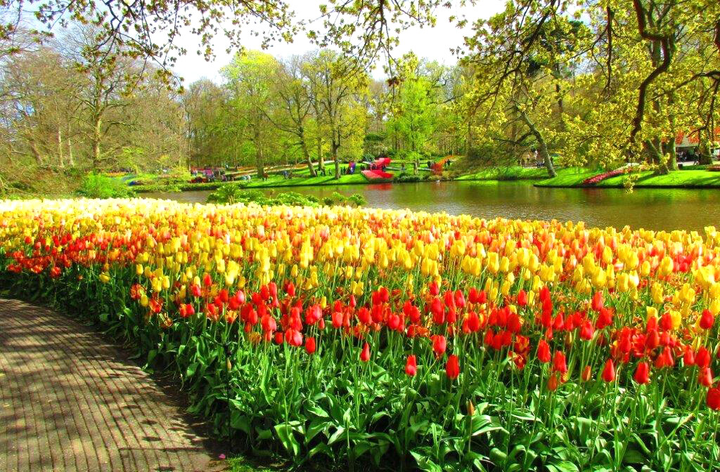 Keukenhof