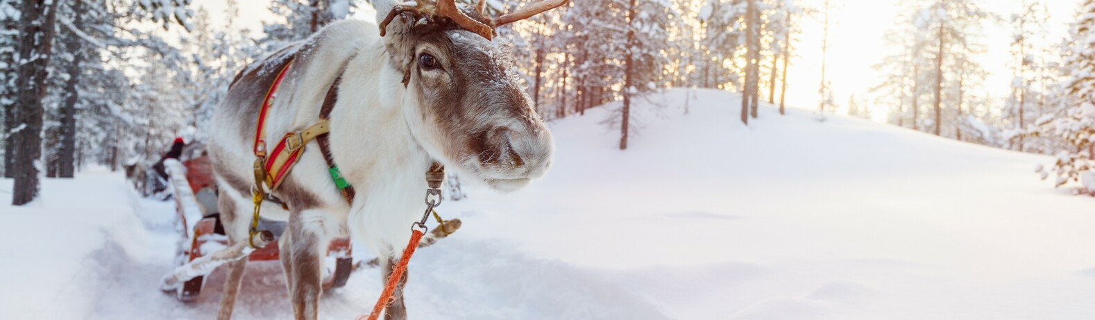 Laponija - Rovaniemi