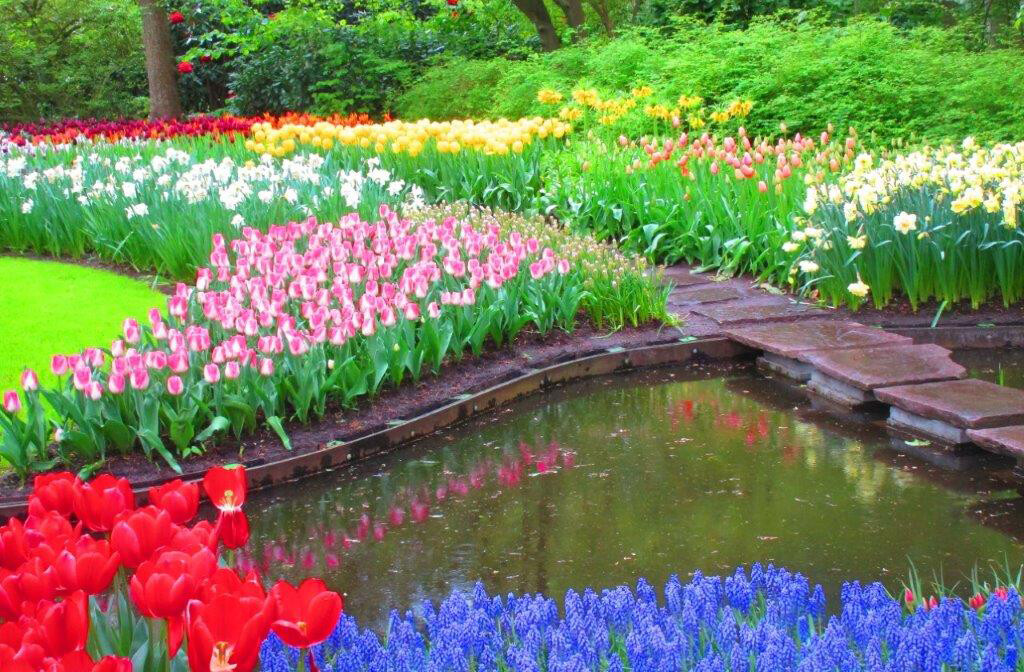 Keukenhof