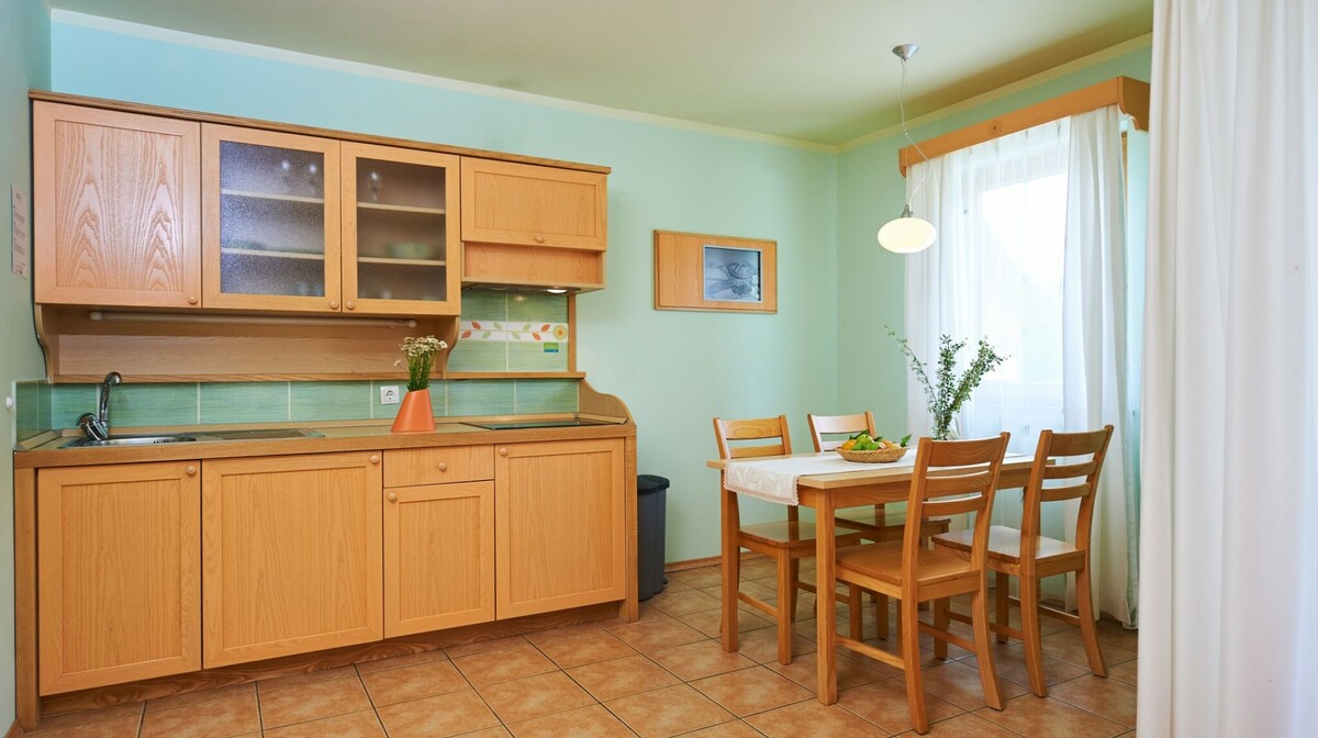 Wellnes i zimovanje u Sloveniji, Kamnik, Terme Snovik, apartman