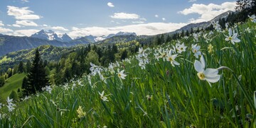 Planine u Sloveniji, kolekcija Upoznajmo Sloveniju, garantirani polasci