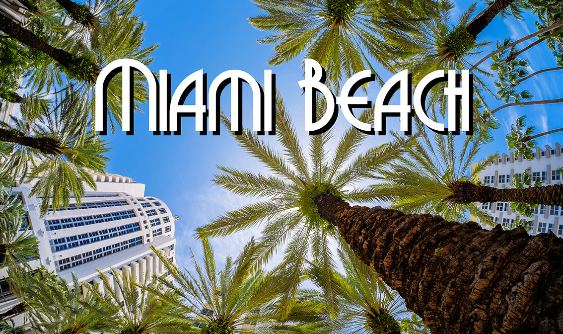 Palme na Miami beach, putovanje Florida, daleka putovanja, garantirani polasci