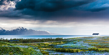 Husavik, putovanje na Island, garantirani polazak