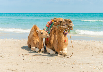 Deva na plaži, ljetovanje Tunis, mediteran, let posebnim zrakoplovom za tunis, garantirani polasci