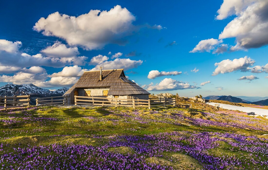 Velika Planina