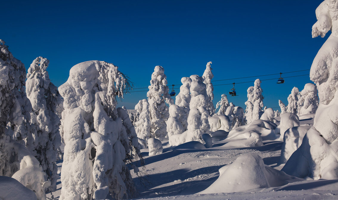 Aspen