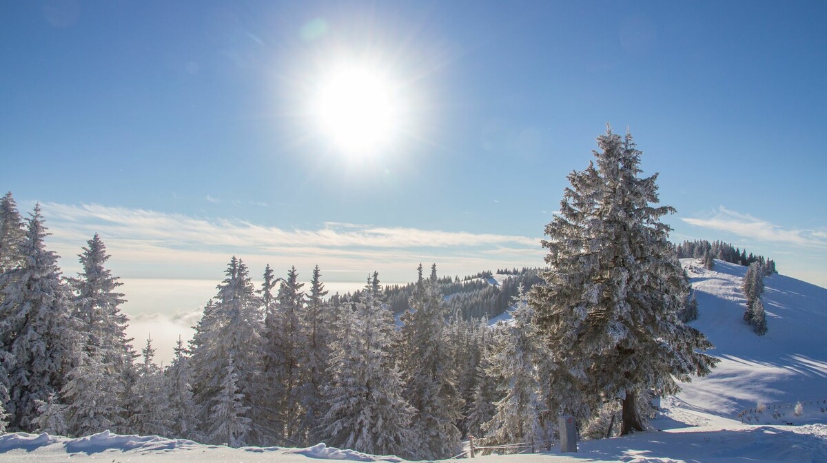 skijanje golte, putovanje u Sloveniju, Mondo travel