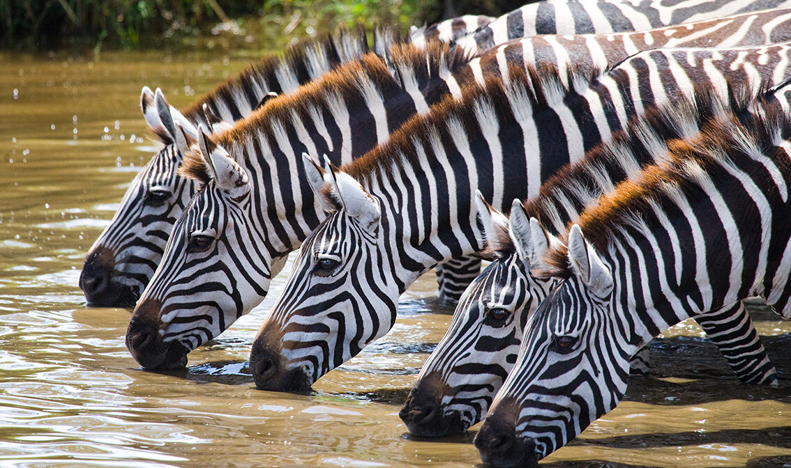 Tanzanija, daleka putovanja, mondo travel