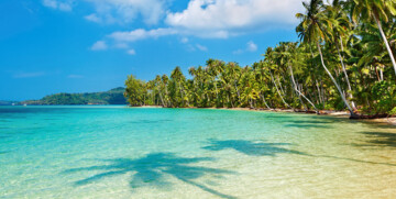 plaža i kokosove palme, putovanja zrakoplovom, Mondo travel, daleka putovanja, garantirani polazak