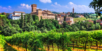 Emilia Romagna, vinogradi., putovanje Italija, Mondo travel