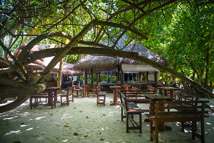 Maldivi, Biyadhoo Island, Biyadhoo Cocount bar na plaži