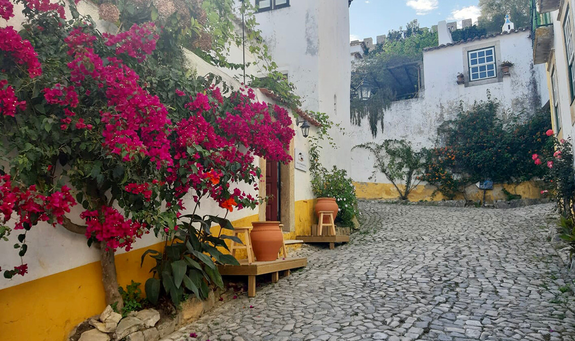 Ulica u Obidosu sa cvijećem, putovanje Portugal, europska putovanja