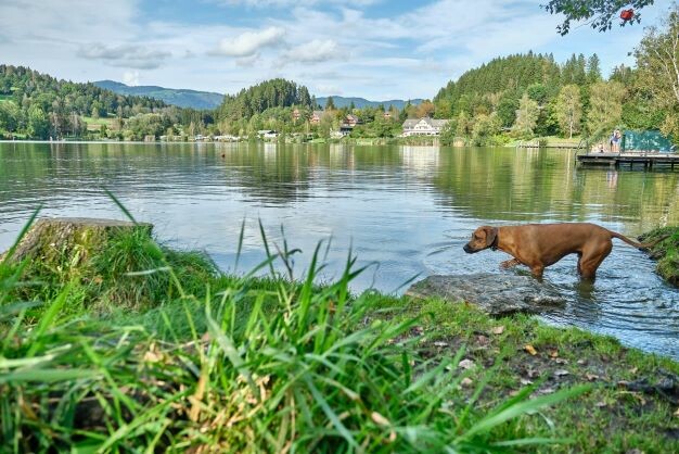 Sonnenresort Maltschacher