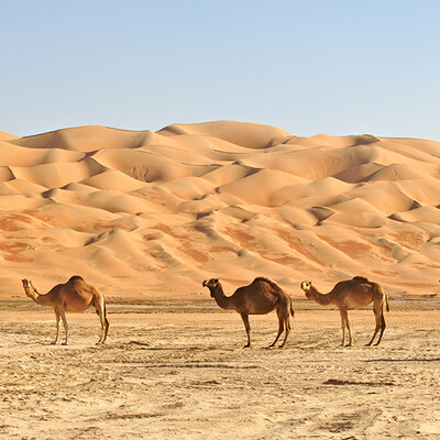 Oman putovanje, mondo travel, daleka putovanja, garantirani polazak