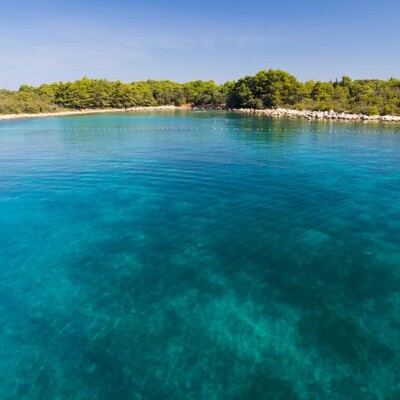 Divine Dalmatia3