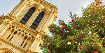 Okićeni bor ispred crkve Notre Dame u Parizu, advent u Parizu