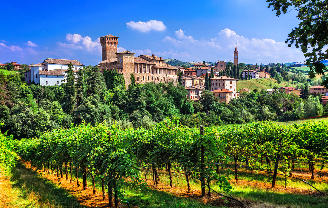 Emilia Romagna, vinogradi., putovanje Italija, Mondo travel