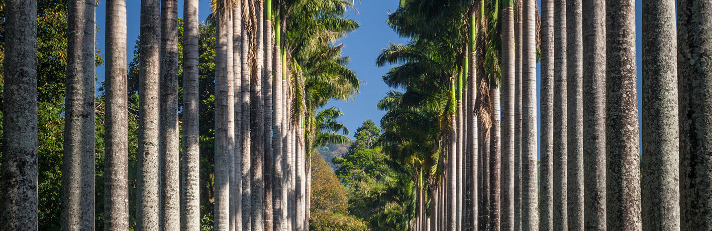 Kandy
