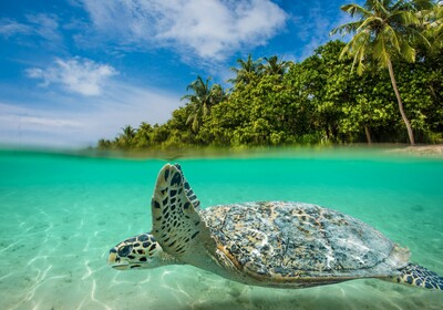 Zanzibar, mondo travel, daleka putovanja