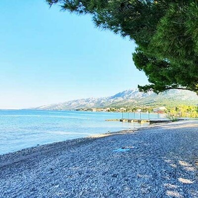 Starigrad-Paklenica, Bluesun camp paklenica, borova šuma uz plažu