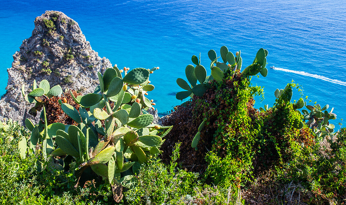 najljepša plaža Italije Capo Vaticano