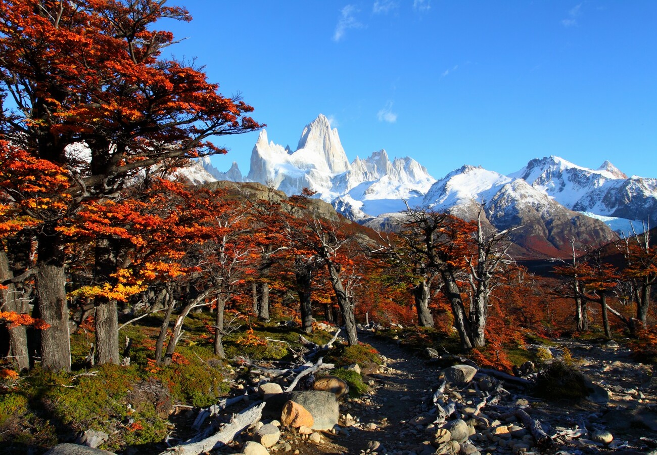 Patagonija