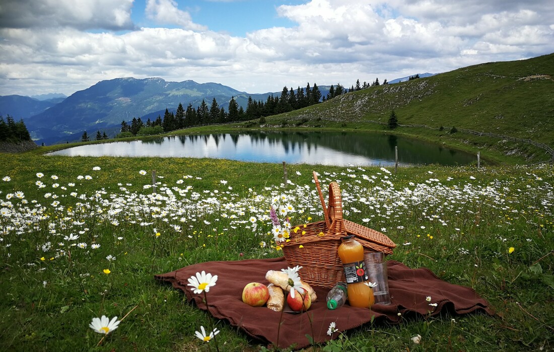 Golte wellness, slovenija