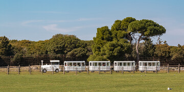 istra, brijuni, mondo travel