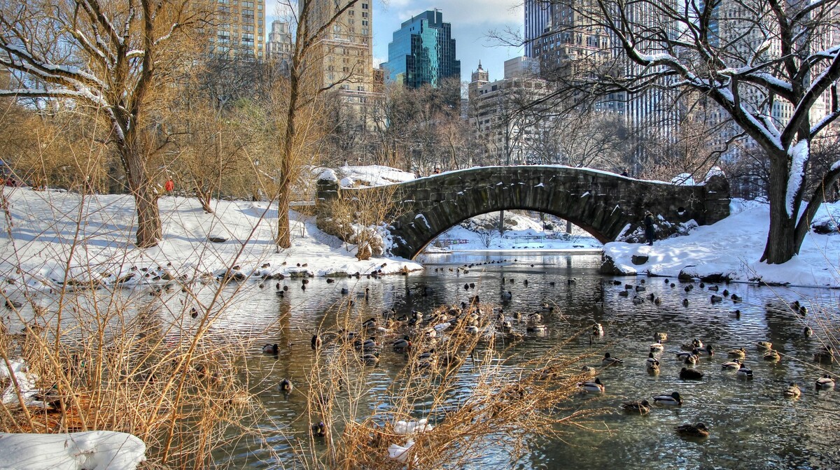 Central park u zimi, New York putovanje, mondo travel, grupni polasci za SAD, smještaj na Manhattanu