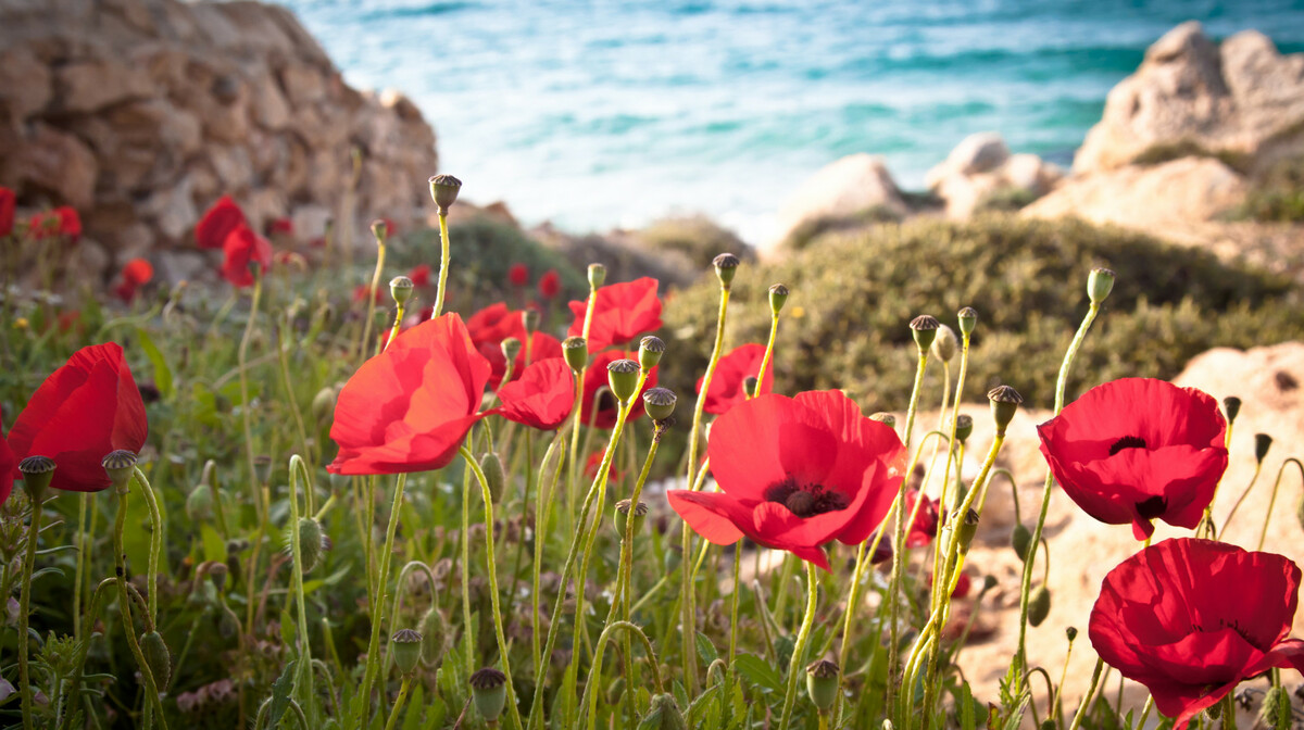 Mikonos, putovanja zrakoplovom, Mondo travel, europska putovanja, garantirani polazak