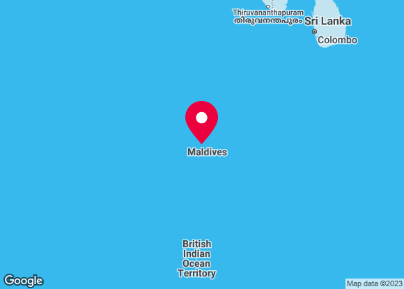 Dubai i Maldivi, Nova godina
