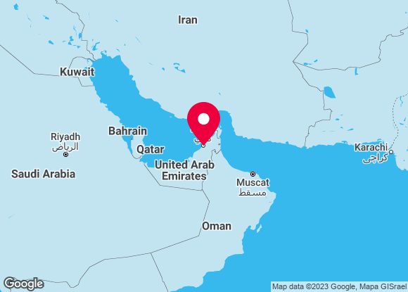 Dubai i Maldivi, Nova godina